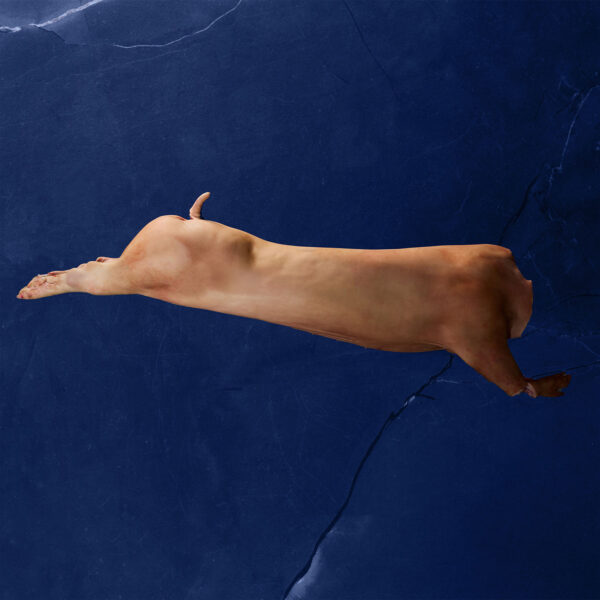 Wilmeat whole pork carcase, ethically sourced and tailored for Australian food businesses.